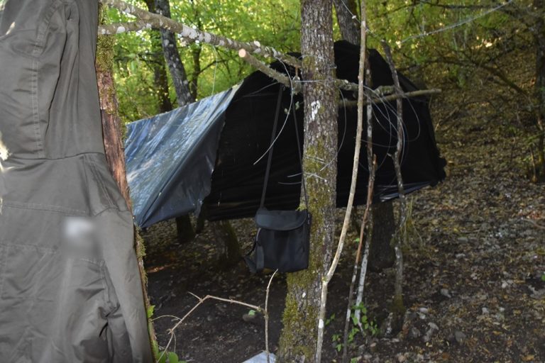 Φυτεία κάνναβης με 451 δενδρύλλια σε δύσβατη περιοχή της Κοζάνης – Συνελήφθη 62χρονος