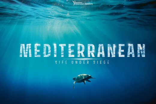 Τετάρτες στο Λιμάνι με το Cinedoc: “Μεσόγειος: πολιορκημένη θάλασσα”