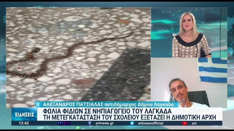 Φωλιά με οχιές μέσα σε νηπιαγωγείο στον Λαγκαδά Θεσσαλονίκης