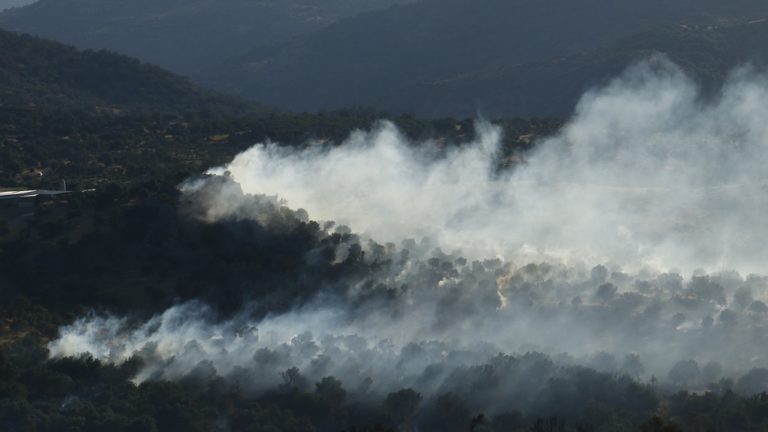 Πυρκαγιά ξέσπασε στο Πυργοχώρι Καβάλας – Αισιοδοξία για άμεση αντιμετώπιση