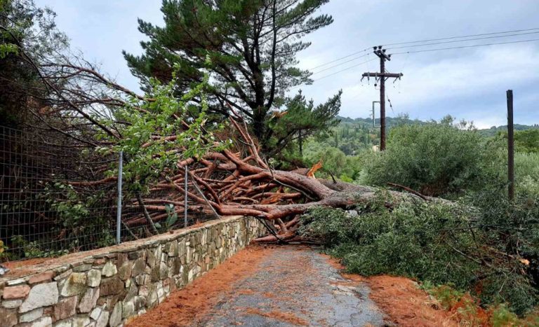 Κέρκυρα: Χωρίς προβλήματα η κακοκαιρία – Σε κοπές δέντρων επενέβη η Πυροσβεστική