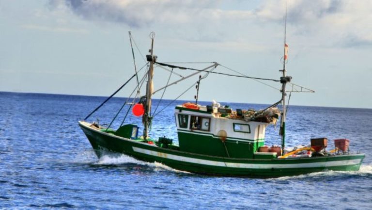 Ξεκινά η αλιευτική περίοδος στον Έβρο – Δ. Σαρίκας: Δυσβάσταχτα τα έξοδα, λίγα τα αλιεύματα (ηχητικό)