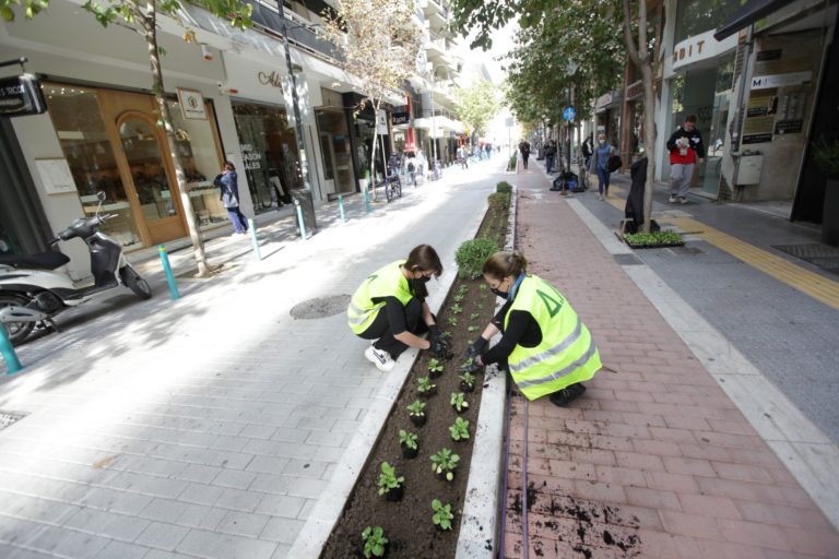 Γεμίζουν λουλούδια τα παρτέρια στους δρόμους ήπιας κυκλοφορίας της Λάρισας